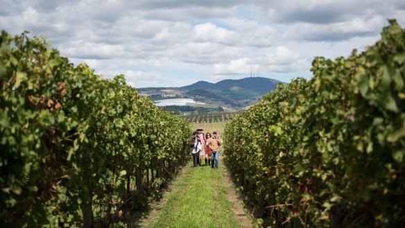 Sample the region's cool-climate wines during the F.O.O.D festival and year-round. 