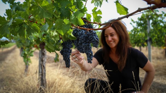 Vasse Felix chief winemaker Virginia Willcock.