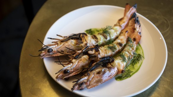 Charred tiger prawns, lemon and dill.