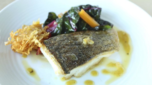 Murray cod, rainbow chard and fennel.