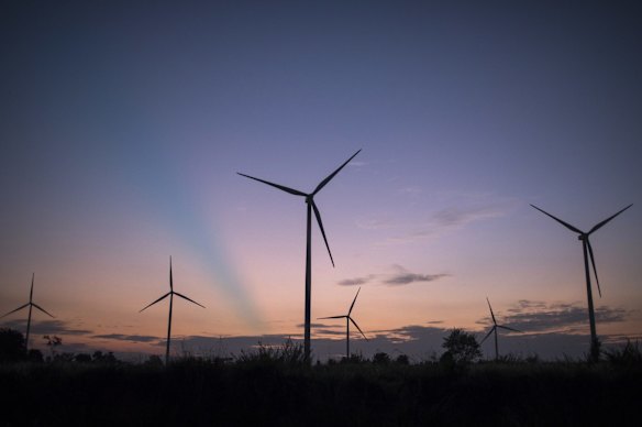 Wind turbines and solar technology will have the fastest rates of growth for energy take-up.
