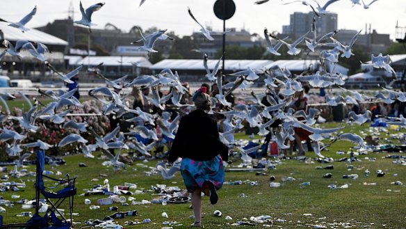 The seagulls were the main winners at the end of the day.
