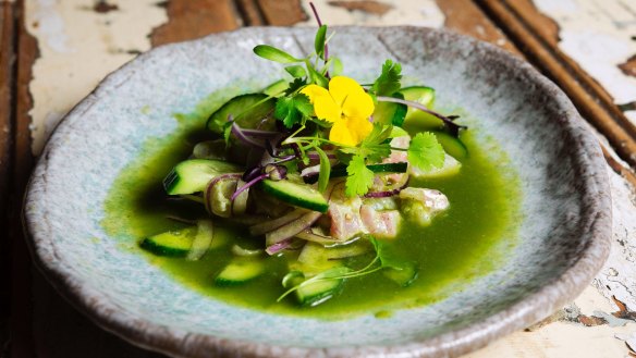 Bold, bright cuisine: The fresh, sharp market fish aguachile.