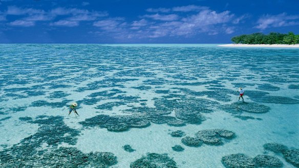 Heron Island, Queensland. At this Great Barrier Reef resort, it's all about what lies beneath. There are more than 20 dive sites within 15 minutes of the shore, including the famous Heron Bommie, named by Jacques Cousteau as one of his top 10 dive sites in the world.