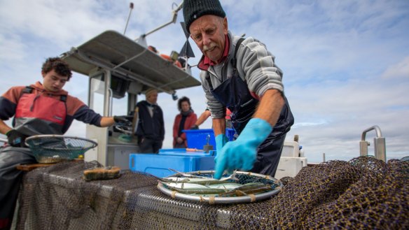 New fishing rules for Corner Inlet rebalance the scales in favour