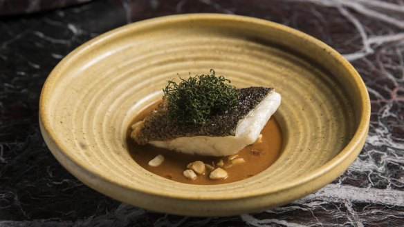 Murray cod with native curry and saltbush. 