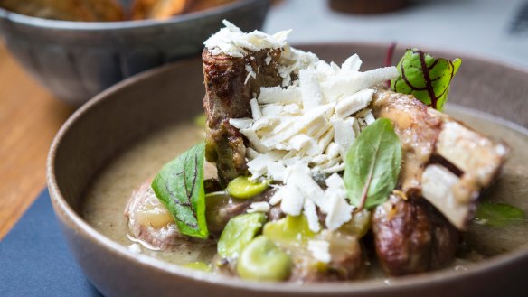 Capretto brasato aka braised goat with broad beans and ricotta salata.