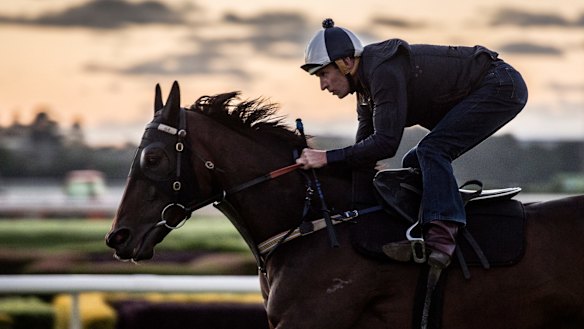 Horse racing is just one of the dangerous riding avenues.