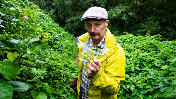 High rain levels have led to abundant foraging opportunities, says Diego Bonetto. 
