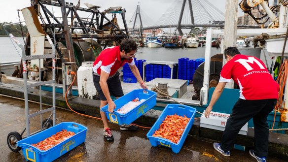 There's a huge shortage of everything at the moment, according to Peter Manettas of Manettas Seafood in Sydney.