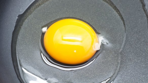 If not for the squiggly bit inside an egg, the yolk would float free. 