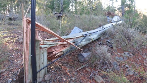 Sodden ground, strong winds led to trees across Canberra falling during ...