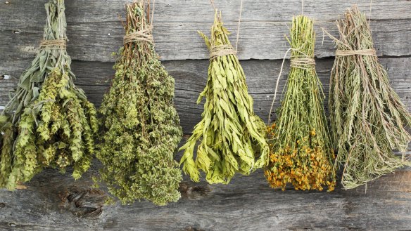 Drying herbs is a great way to not only flavour food, but also makes teas and salves.
