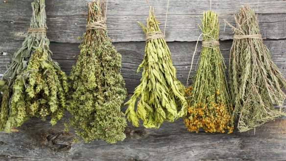 Drying herbs is a great way to not only flavour food, but also makes teas and salves.