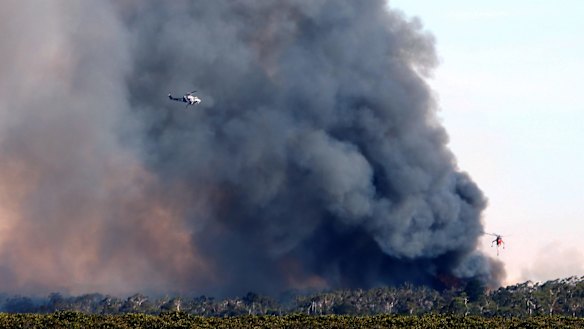 Fire devastation at Crib Point