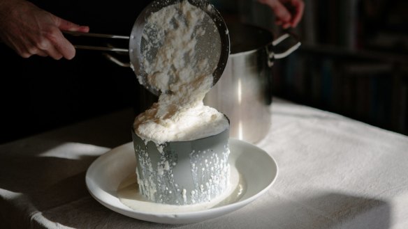 Kristen Allan making ricotta.