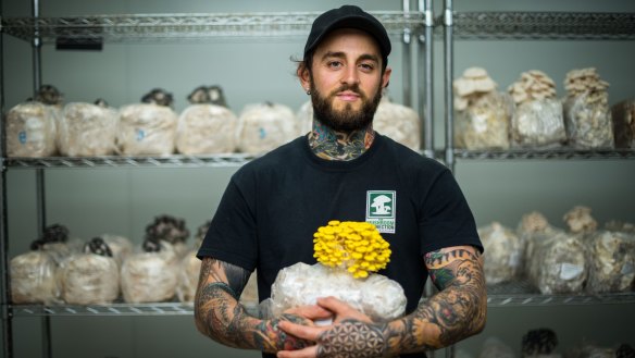 Jason Crosbie, of The Mushroom Connection, with yellow oyster mushrooms.