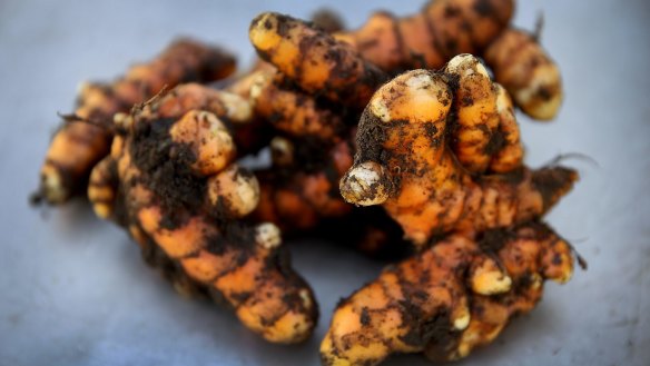 NEWS - Liz Griffiths of Telarah, harvested the last of her turmeric crop over the weekend. 22nd JULY 2017