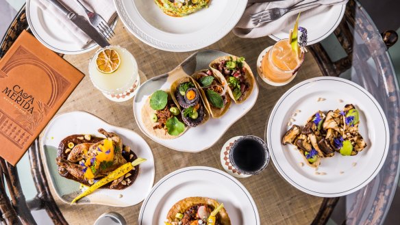 Milpa Collective has just opened Casa Merida in Potts Point and two more venues are imminent.