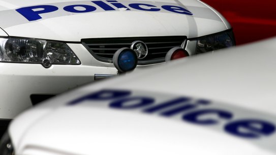 A 29-year-old woman hasdied after being stabbed in the chest.