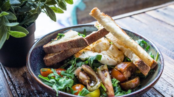 Burrata tomato salad at The Alchemist Espresso in Cammeray. 