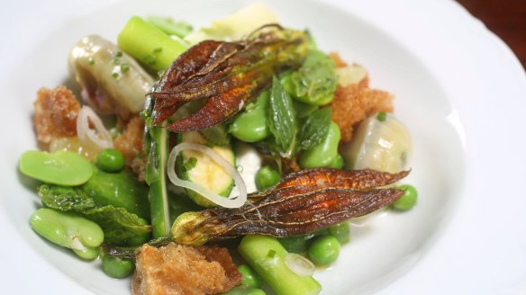 Insalata primavera - spring salad with broad beans, peas and sourdough.