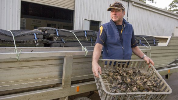 Merimbula oyster farmer Hugh Wheeler says bushfires have had a significant impact South Coast tourism and oyster sales.