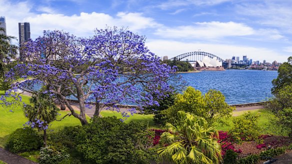 Golden fields and purple rain: The best places in Australia to see ...