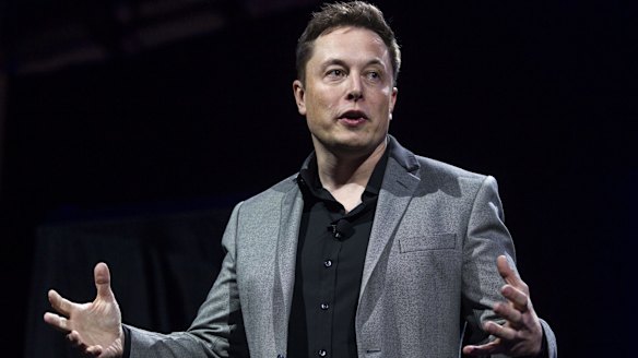 Tesla Motors chairman and chief executive Elon Musk: Full of promises but not enough action.
