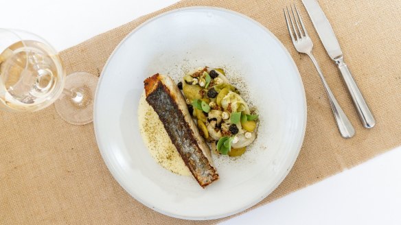 Wild mulloway with cabbage, green olive and black garlic.