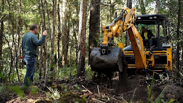 The digging resumes at the search area for the burial site of Matthew Leveson in the Royal National Park.