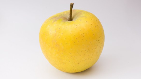 Coming soon: Yello apple. 