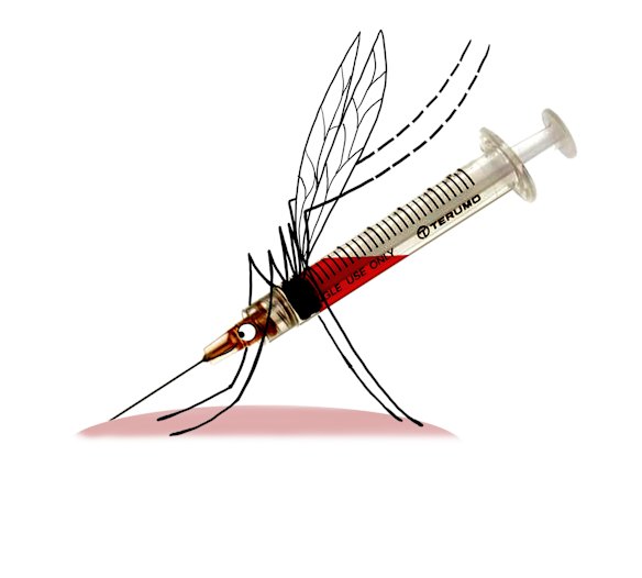 Ilustration by Simon Letch.