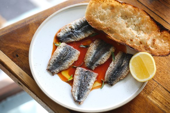 Sardines with bloody mary dressing at Westwood Wine Bar.
