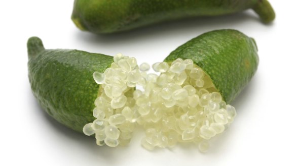 'We're yet to visit a mate's house and be served a smorgasbord of finger limes.'


Photo: iStock