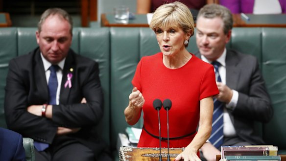 "I have expressed my concerns about the situation in Rakhine State": Foreign Minister Julie Bishop.