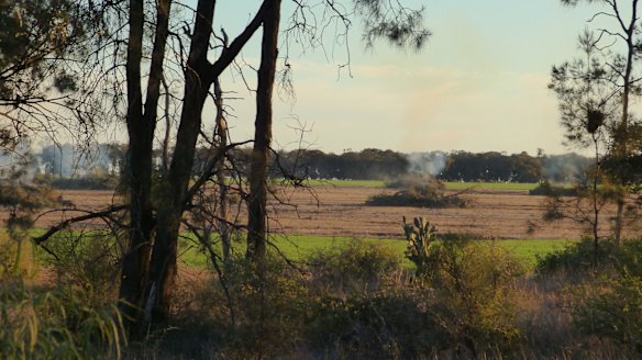 Pictures of burning stacks of native vegetation taken by Office of Environment and Heritage officer Robert Strange in Croppa Creek just before the killing of Glen Turner.