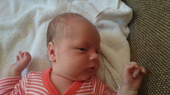 Baby "Sam", born via a surrogate, cannot leave Nepal. 