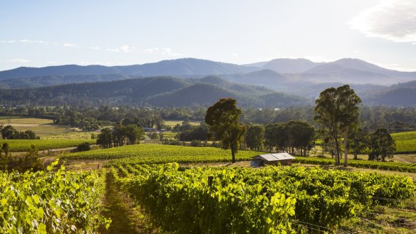 The stunning scenery of the King Valley wine region. 