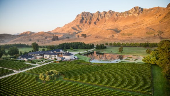 Craggy Range and Te Mata Peak, Hawke's Bay.