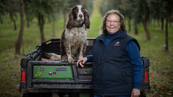 Red Hill Truffles owner Jenny McAuley and her dog Thomas are expecting a healthy truffle crop this winter.
