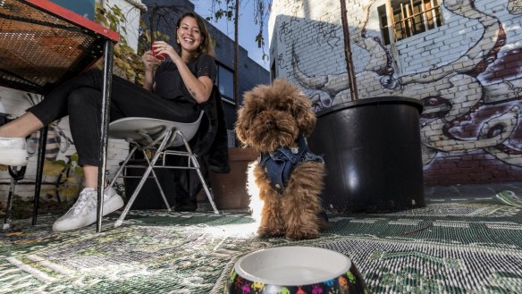 Jinkee the poodle (@lifeofjinkee) settles in for a treat at Grub Cafe in Fitzroy, with owner Sofia Levin. 