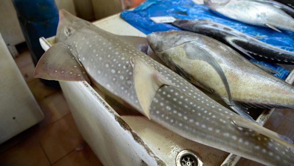 A white-spotted wedgefish, also not tabled for protection.