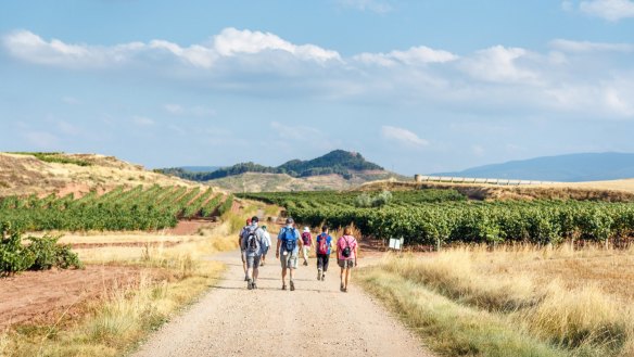 Take a walk in Rioja, Spain's key wine region.