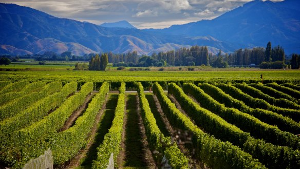 Aotearoa produces an exciting variety of wines.