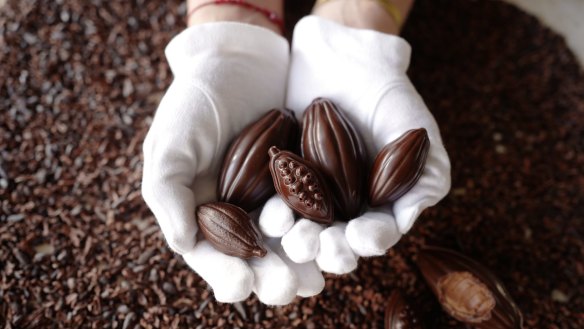 Jessica Pedemont's cacao pod-shaped 'eggs' from South Pacific Cacao.
