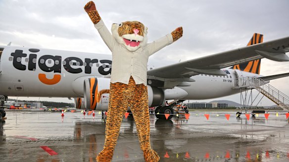 The impostor mascot who welcomed the first Tigerair flights from Melbourne to Canberra.