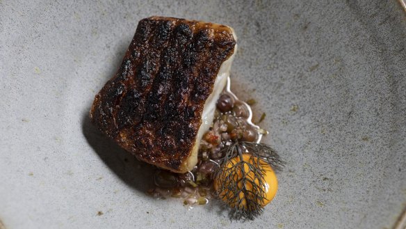 Aged Murray cod cooked over charcoal, glazed with brown butter and served with gochujang and a salsa featuring muntries.