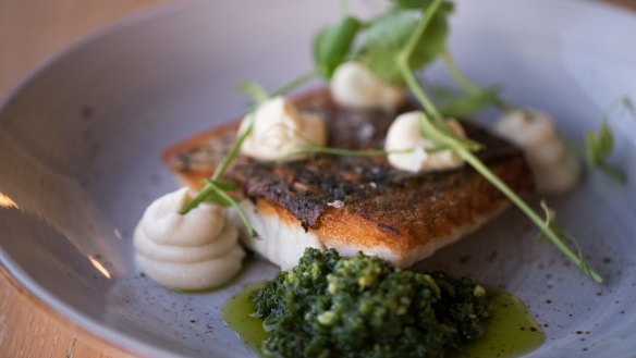 Ocean fresh: Australian Cone Bay barramundi at Sydney's Osteria Coogee.