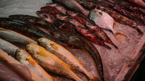 One of the fresh seafood stalls.